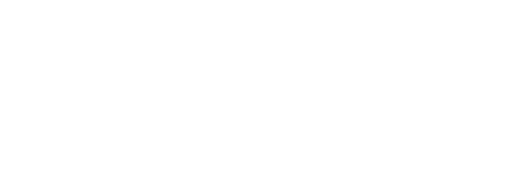 Human Vista Consulting